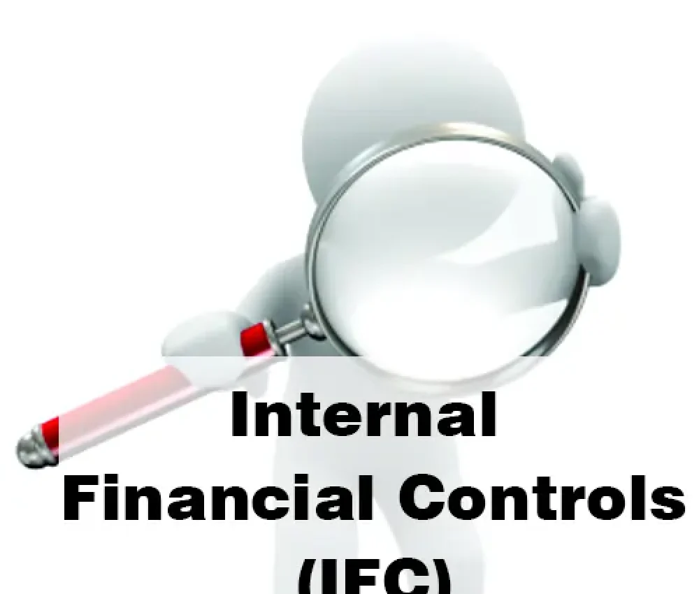 Internal_Financial Internal_Financial